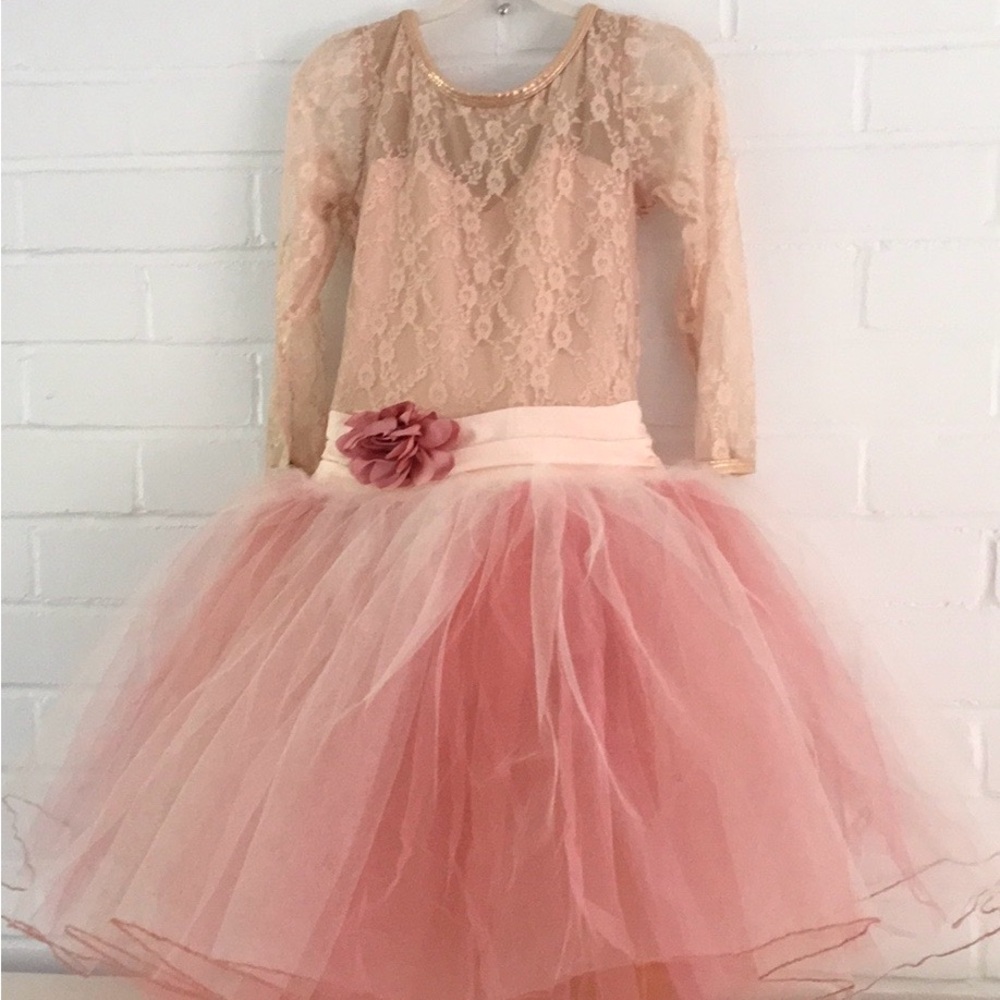 A Wish Come True Girls Size 12 Pink Blush Tulle Lace Tutu Frilly Dance Dress